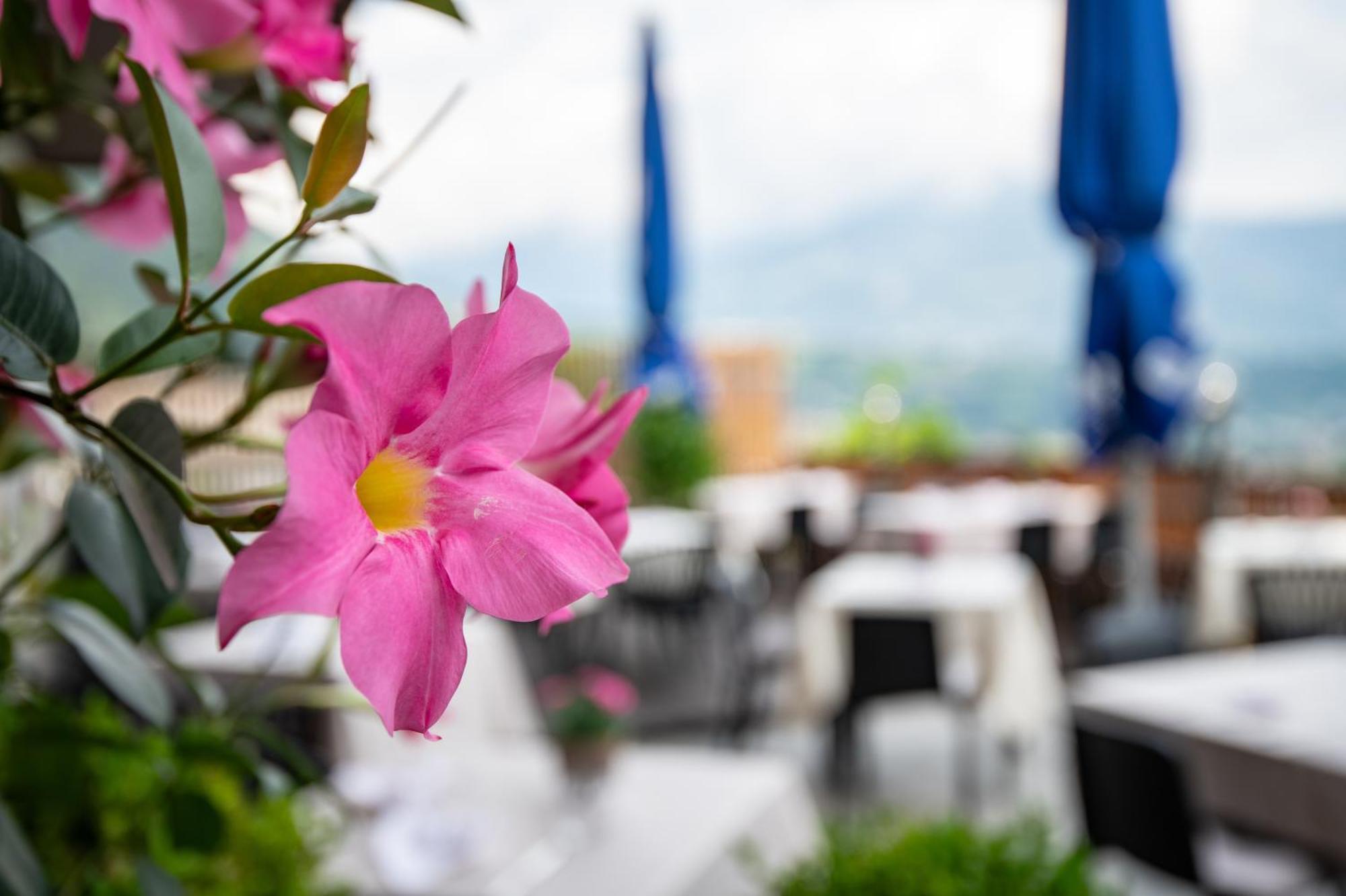 Hotel Residence Mavie Lagundo Ngoại thất bức ảnh